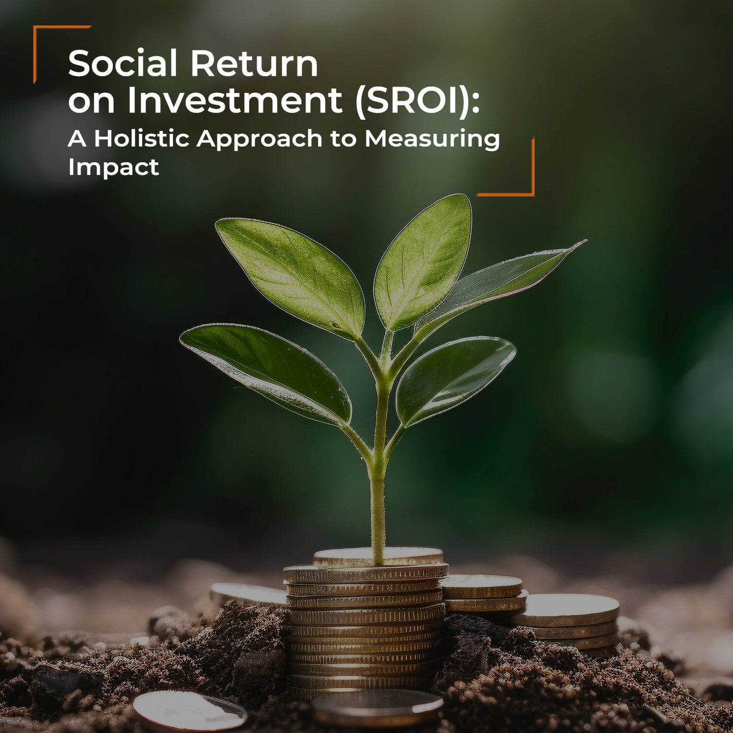 Social Return on Investment (SROI)