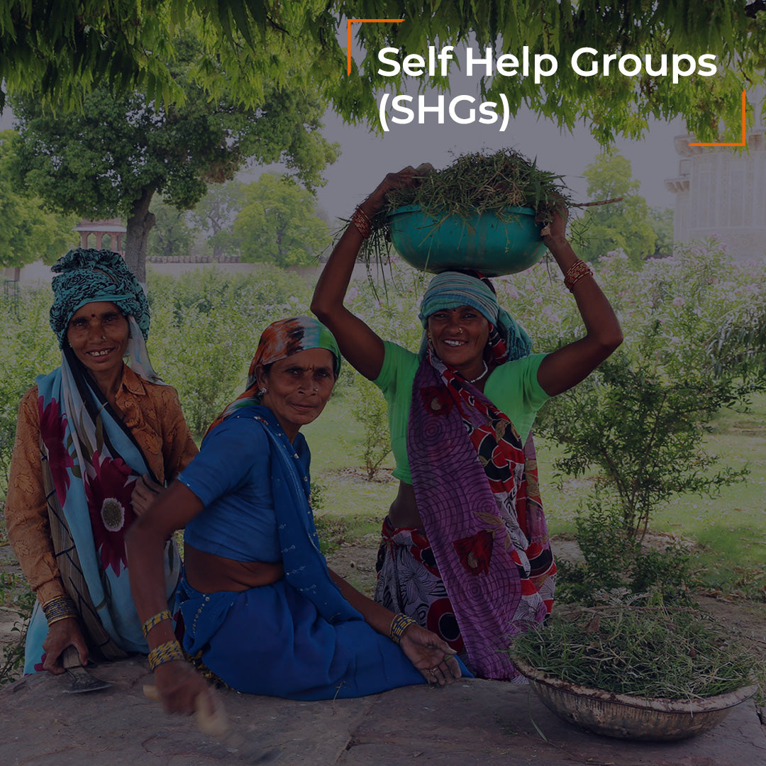 Self Help Groups (SHGs)