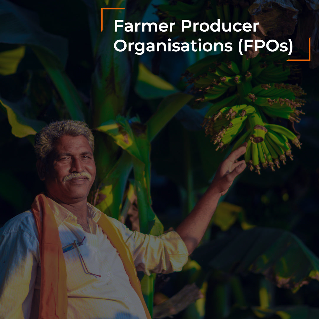 Farmer Producer Organisations (FPOs) – 4th Wheel