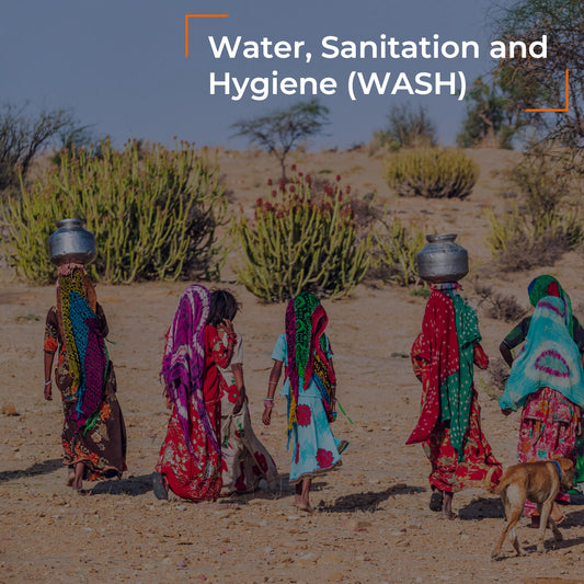 Water, Sanitation and Hygiene (WASH)   